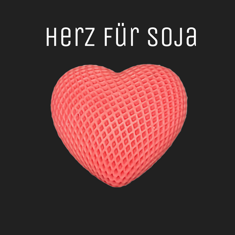 Paraffin vs. Sojawachs: Vergleich und Philosophie von Kunstkuli